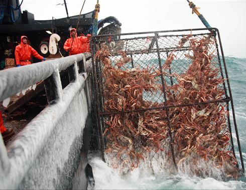 Кадры из Discovery. Смертельный улов (2005)