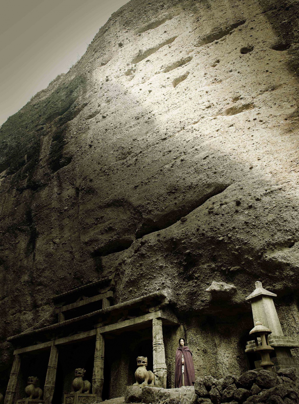 Раскрашенная кожа (2008)