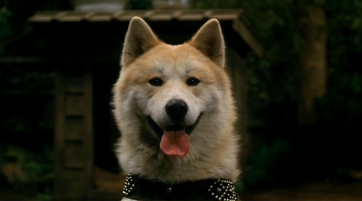 История Хатико (1987)