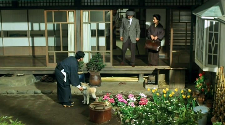 История Хатико (1987)