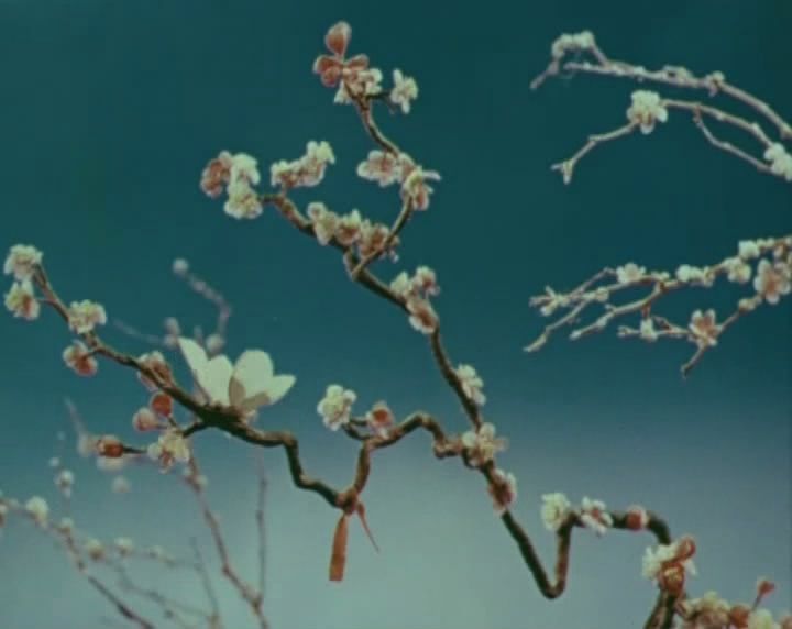 Кадры из Акаиро (1980)