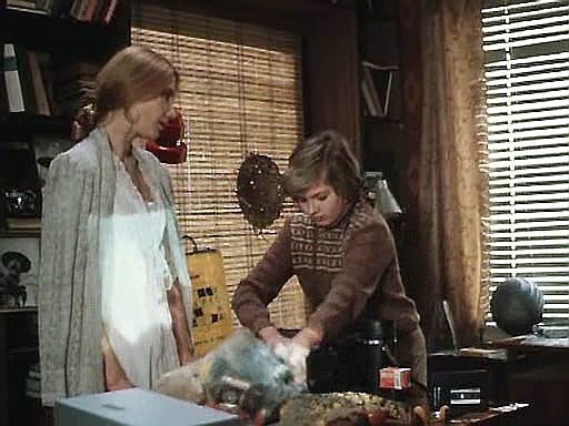 Кадры из Большое приключение (1985)