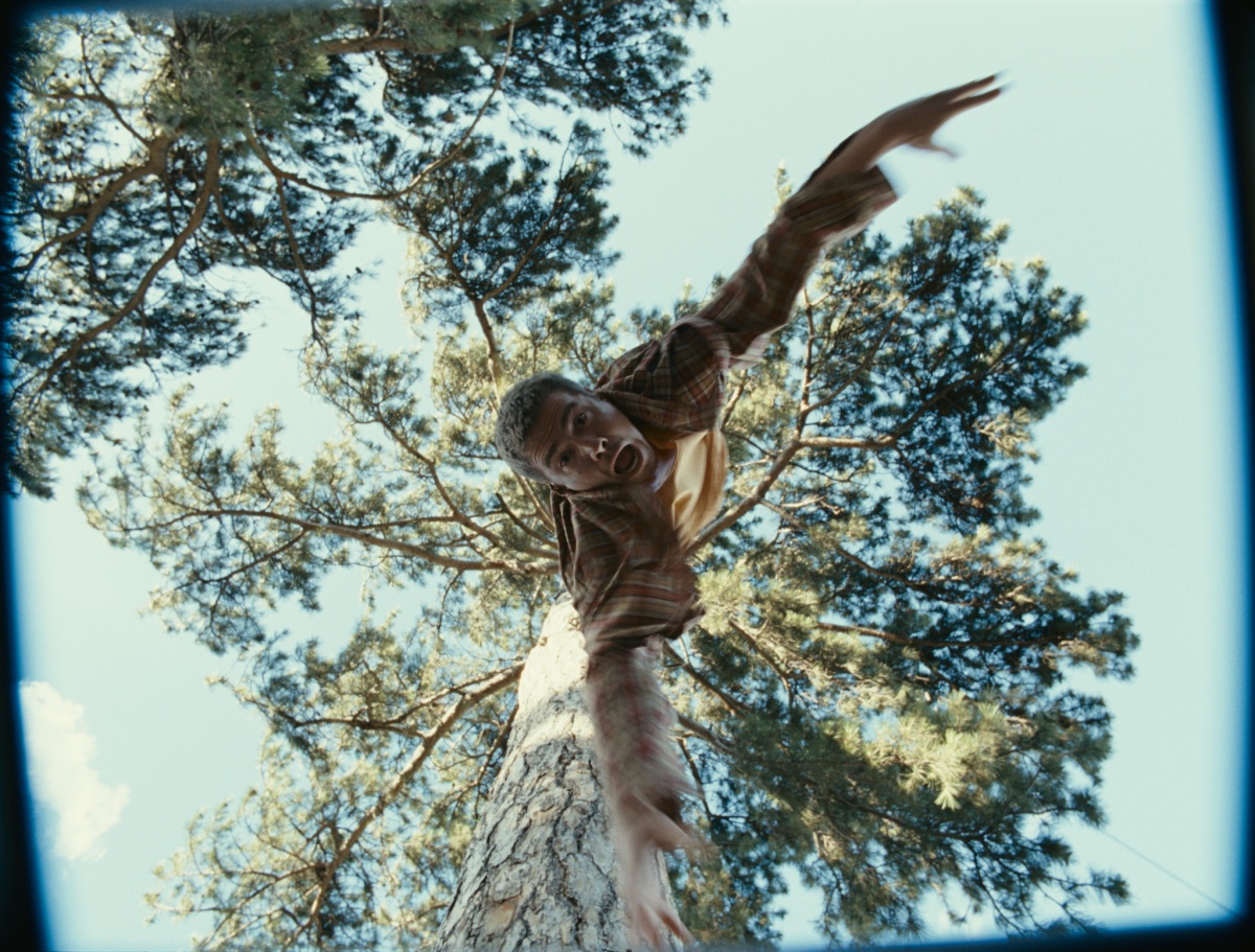 V Центурия. В поисках зачарованных сокровищ (2012)