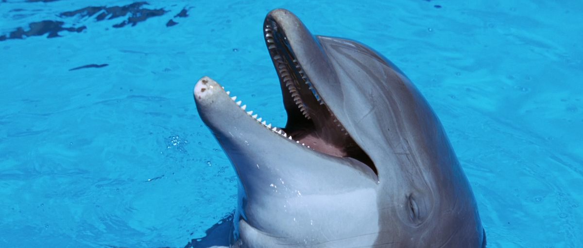 Кадры из Автостопом по галактике (2005)