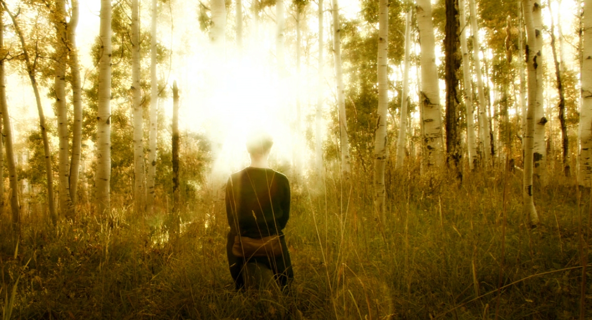 Кадры из Инк (2009)