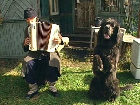 Кадры из Семейный дом (2010)