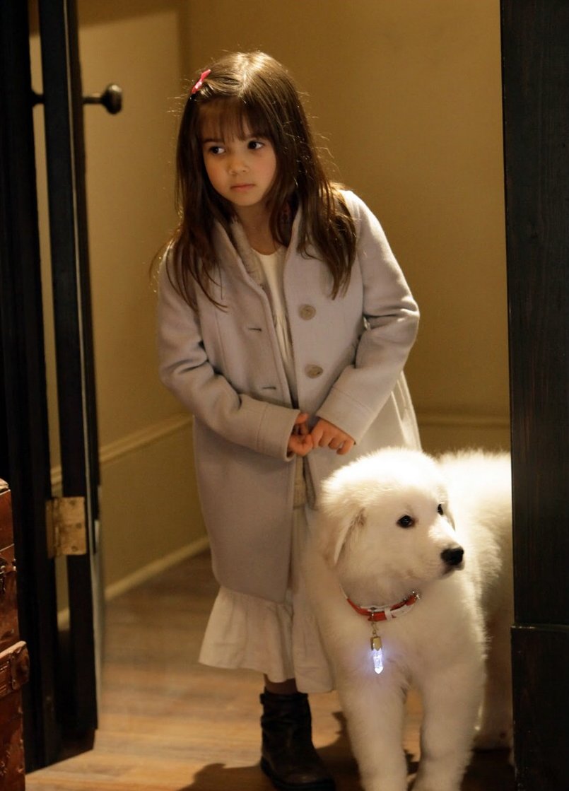 Кадры из В поисках Санта Лапуса (2010)