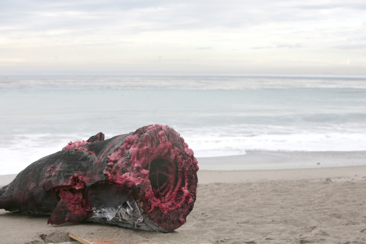 Кадры из Два миллиона лет спустя (2009)