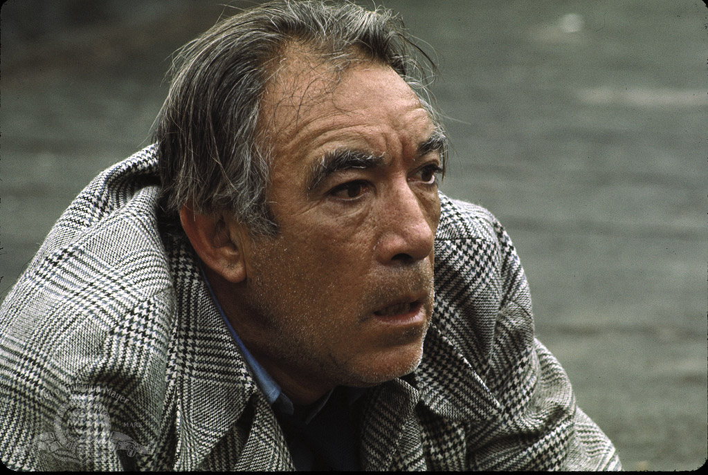 Кадры из На той стороне 110-й улицы (1972)