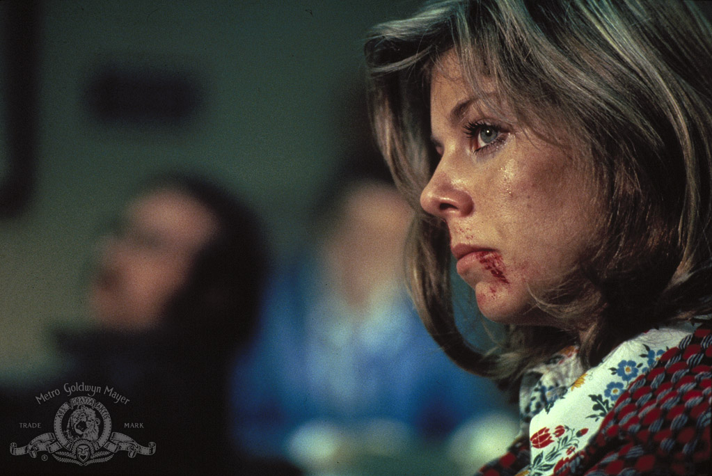 Кадры из Отряд насилия (1974)