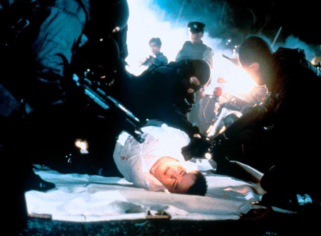 Степень риска (1995)