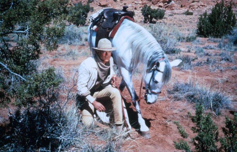 Кадры из Счастливчик Люк (1991)