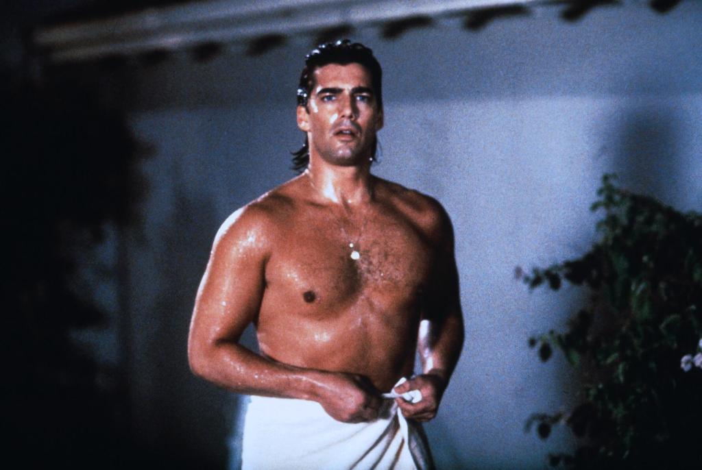 Взятие Беверли Хиллз (1991)