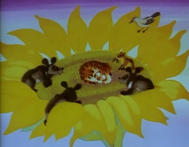 Кадры из Тигренок на подсолнухе (1981)