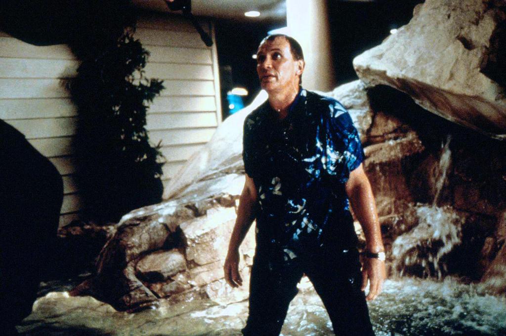 Крыша мира (1997)