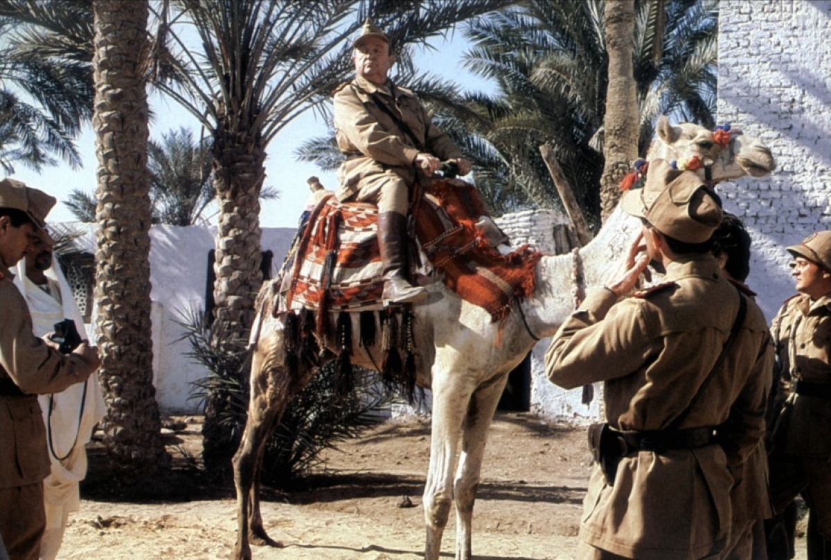 Кадры из Безумец на войне (1985)