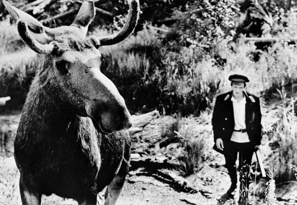 Кадры из Тропой бескорыстной любви (1972)