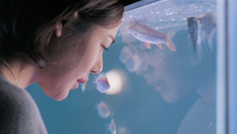 Кадры из Шири (1999)