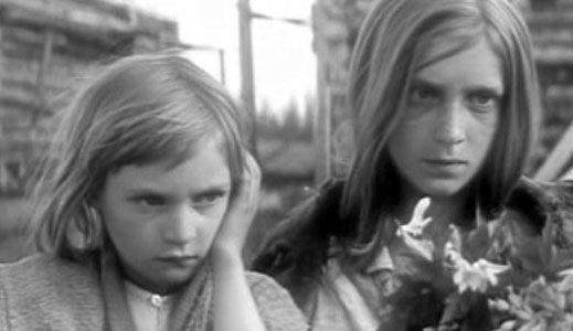 Пришел солдат с фронта (1972)