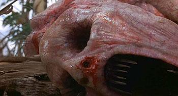 Мертвые пташки (2004)