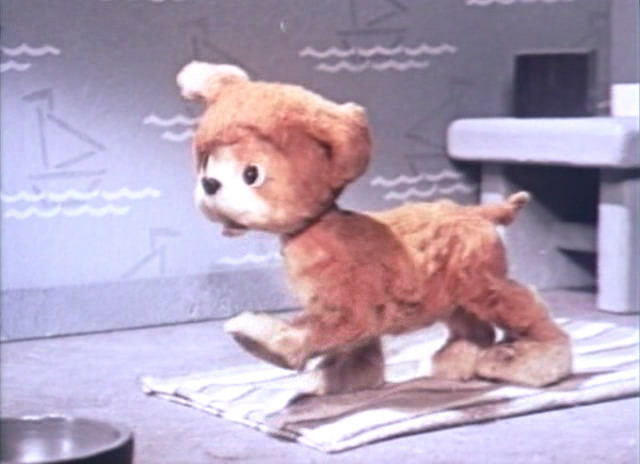 Кадры из Кто сказал мяу? (2009)