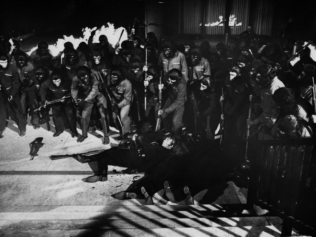 Кадры из Завоевание планеты обезьян (1972)
