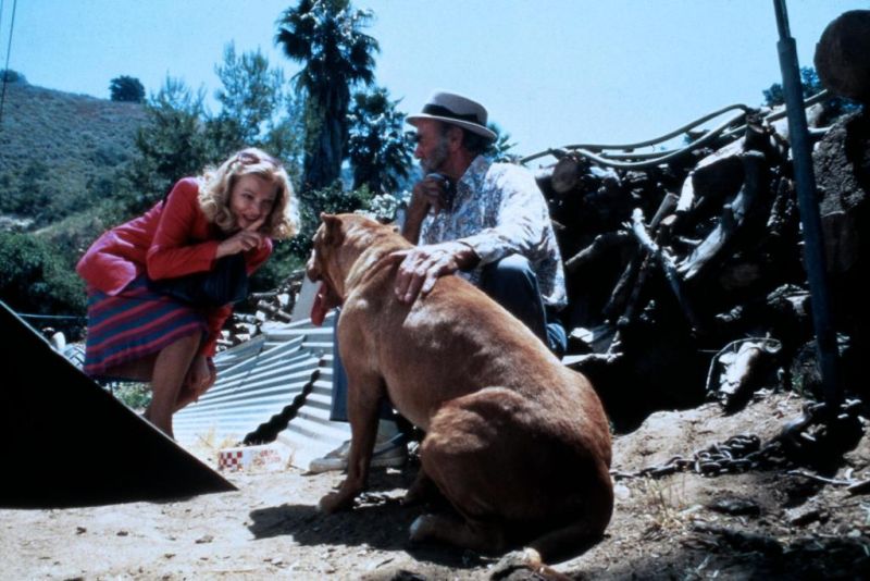 Кадры из Потоки любви (1984)