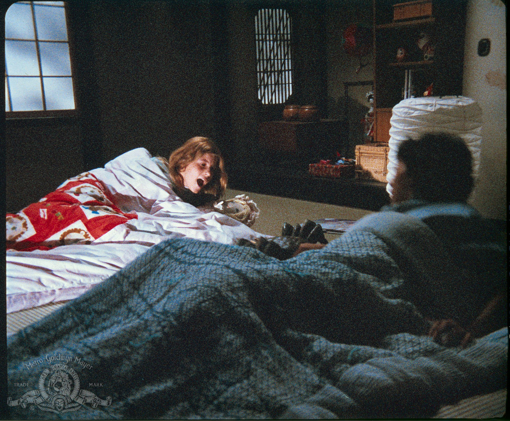 Кадры из Дом, где живет зло (1982)