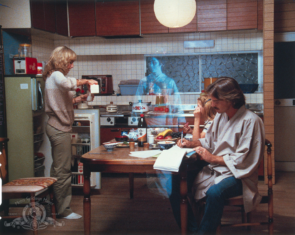 Кадры из Дом, где живет зло (1982)