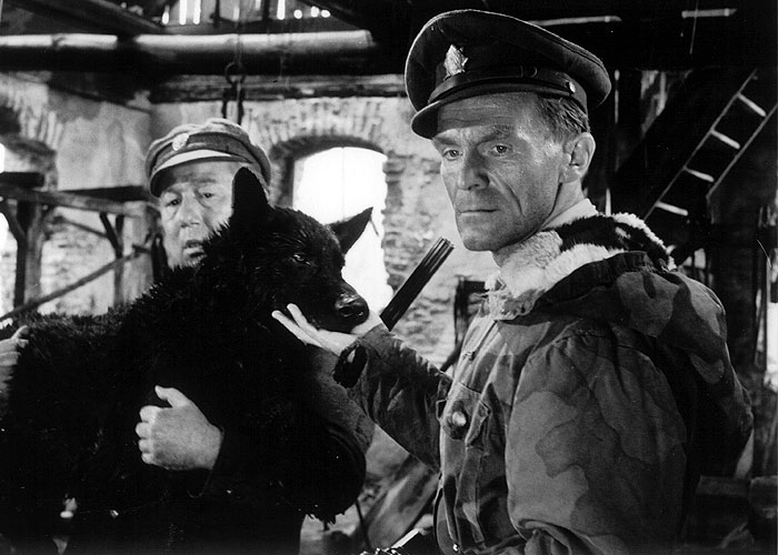 Король Шумавы (1959)