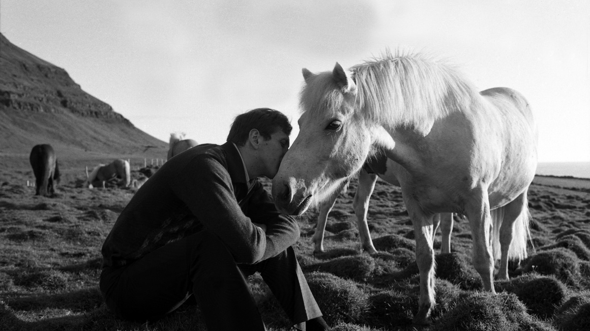 Кадры из Бобби Фишер против всего мира (2011)