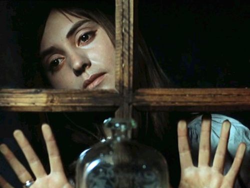 Кадры из Тени забытых предков (1964)