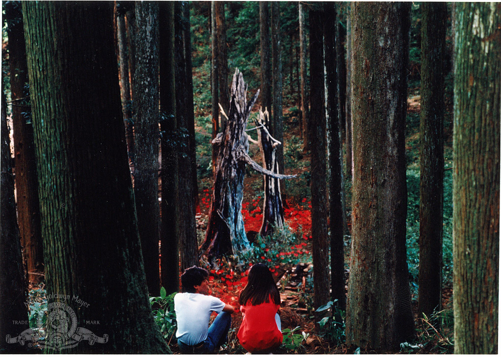 Августовская рапсодия (1991)