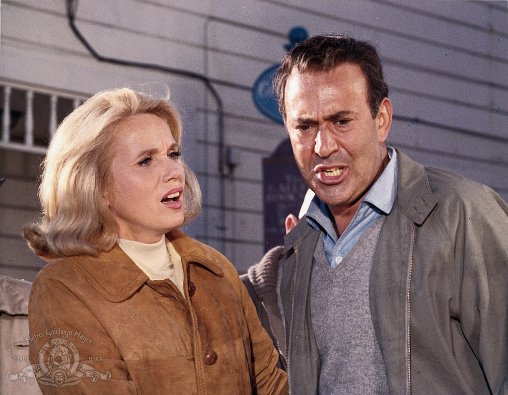 Кадры из Русские идут! Русские идут! (1966)