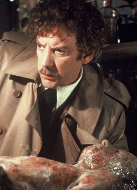 Кадры из Вторжение похитителей тел (1978)