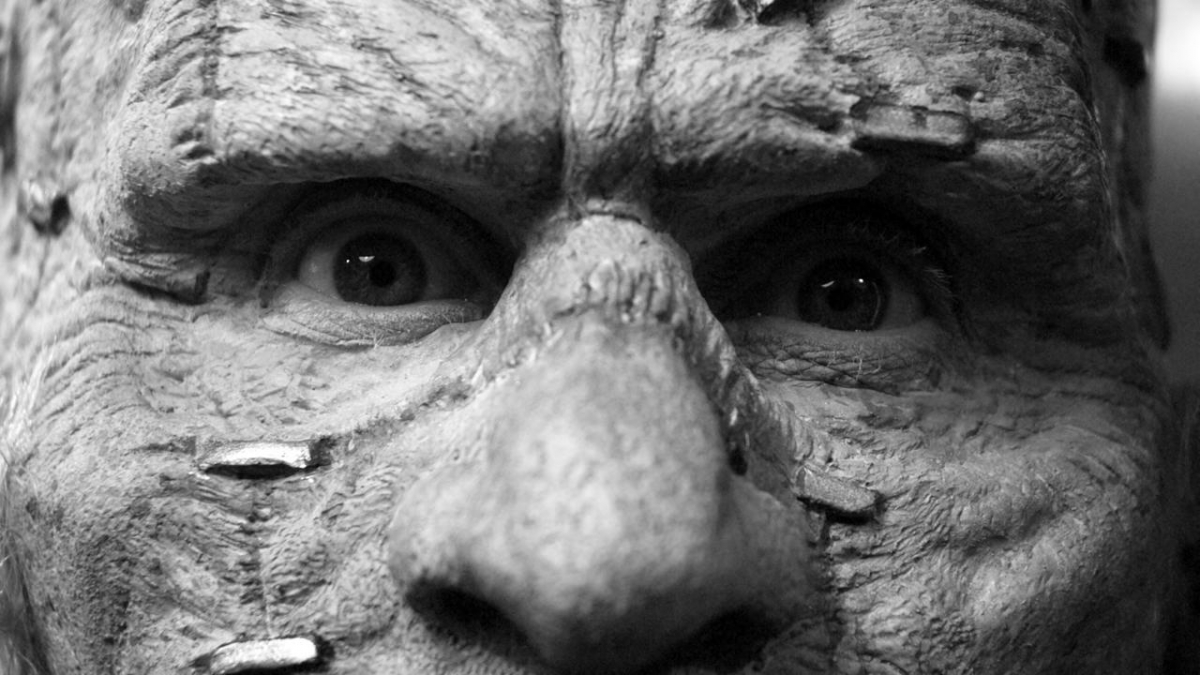 Кадры из Чиллерама (2011)