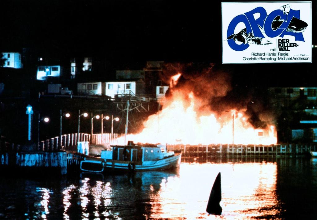 Кадры из Смерть среди айсбергов (1977)