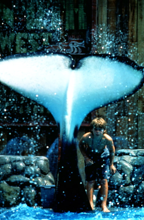 Кадры из Освободите Вилли (1993)