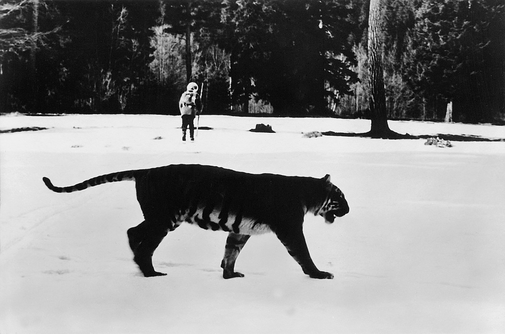 По следу властелина (1980)