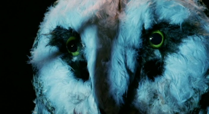 Водолей (1987)