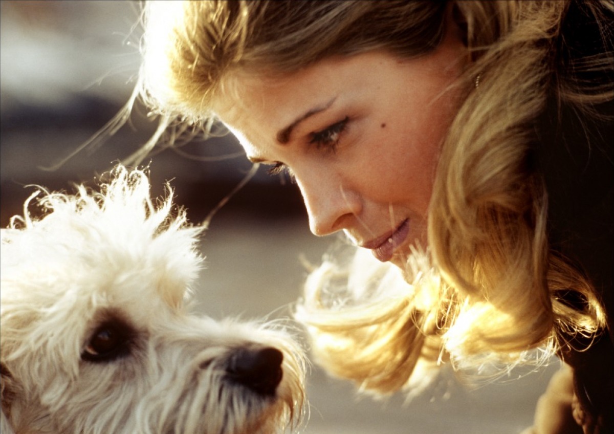 Кадры из Жить, чтобы жить (1967)