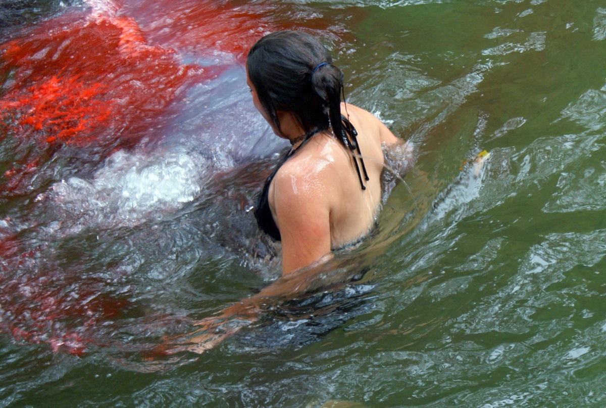 Кадры из Акулосьминог (2010)