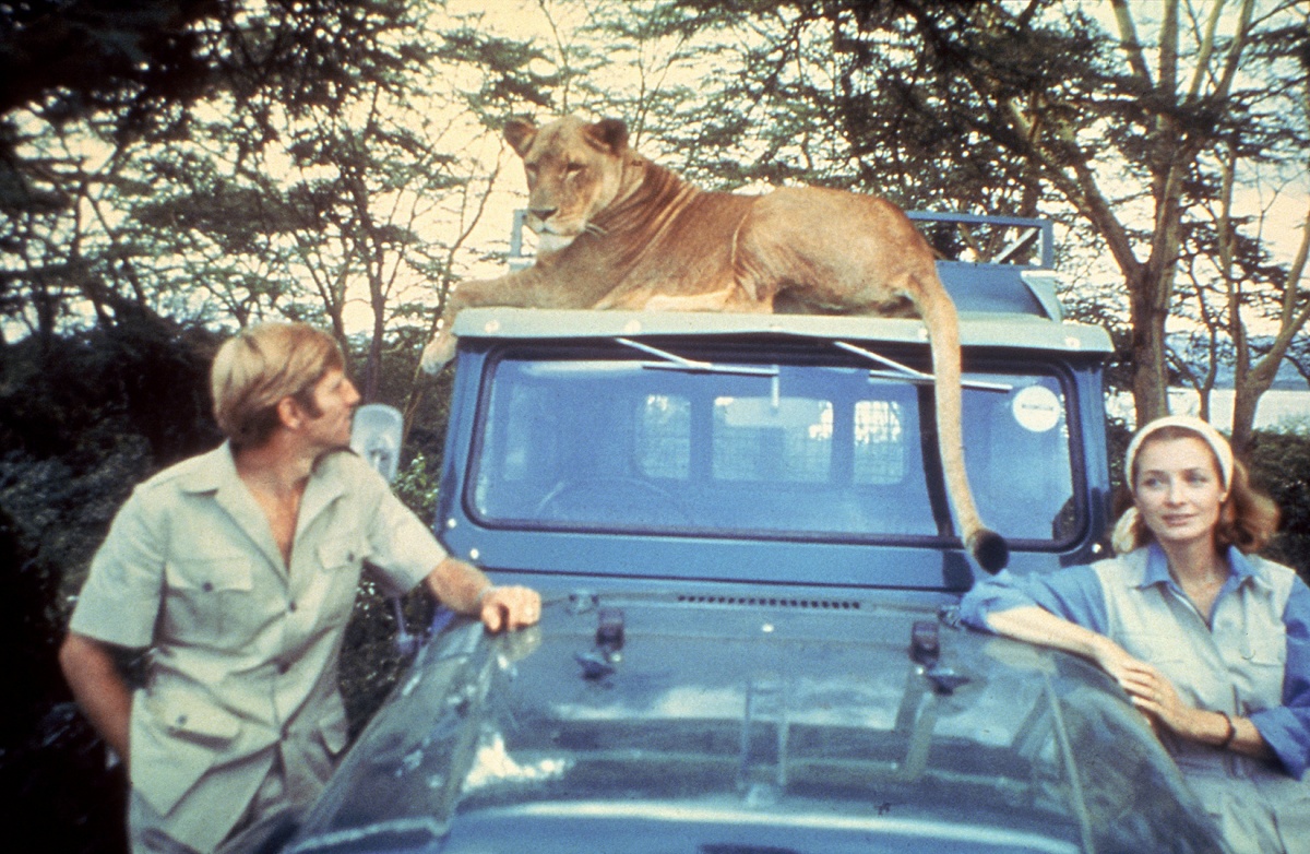 Кадры из Рожденная свободной (1966)