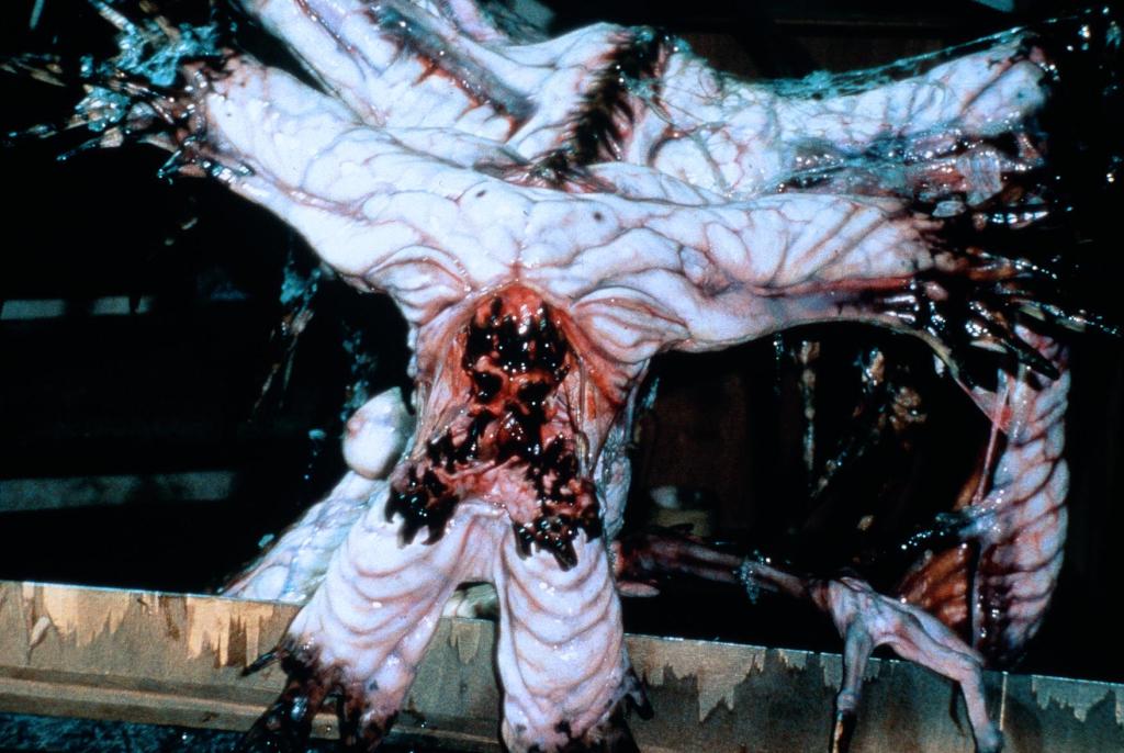 Кадры из Дзэйрам (1991)