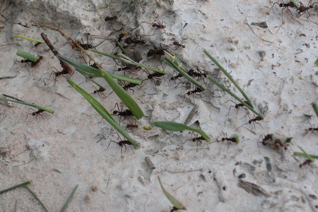 Кадры из Жизнь (2011)