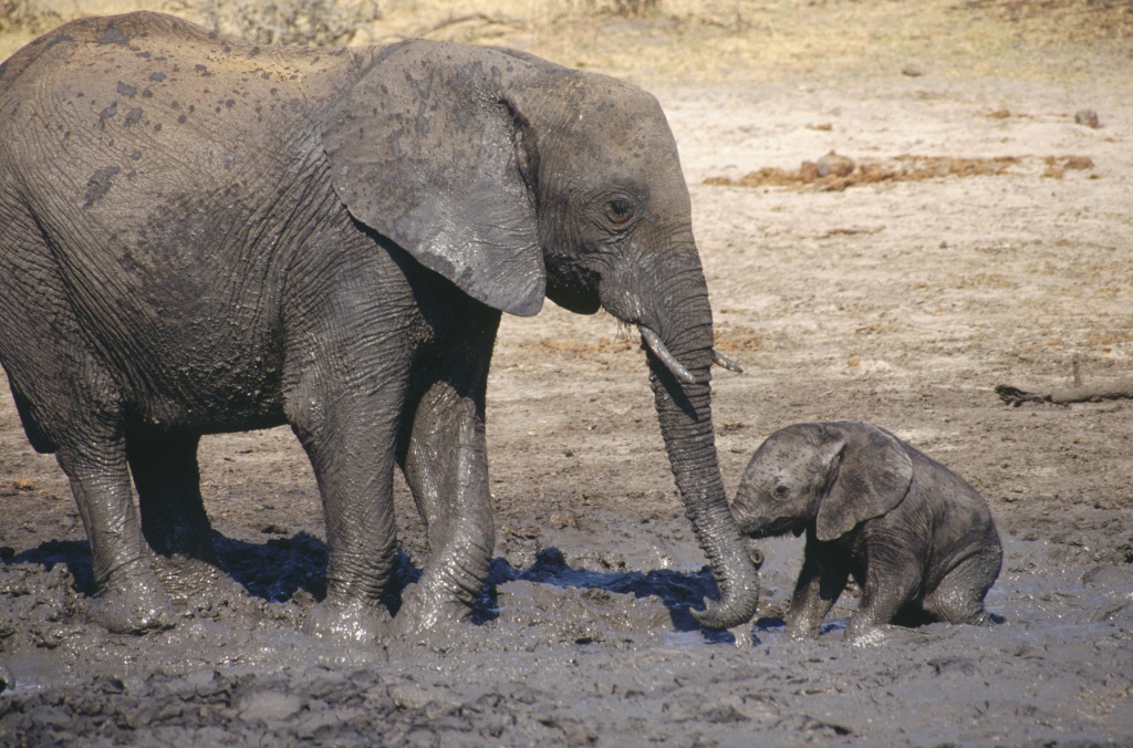 Кадры из Жизнь (2011)