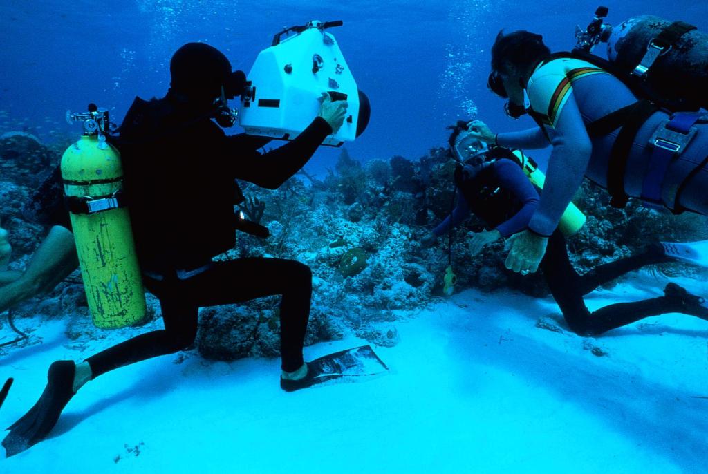 Челюсти 4: Месть (1987)