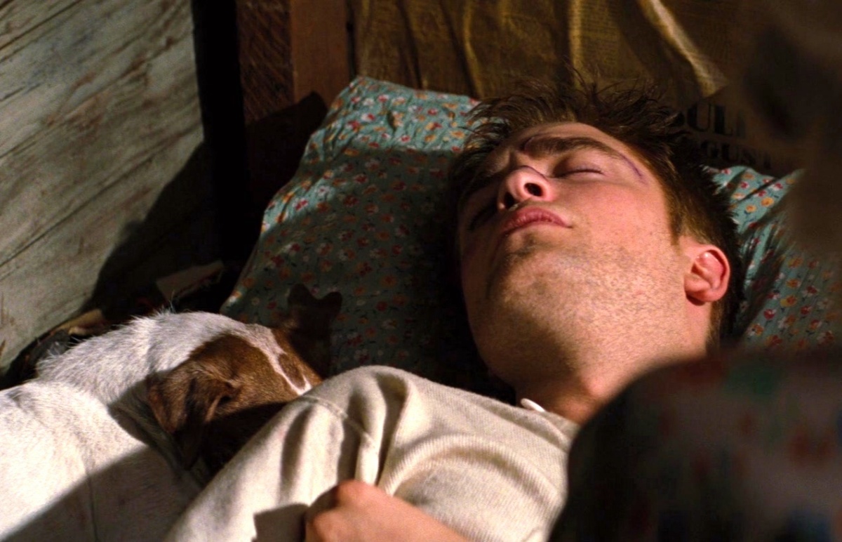 Кадры из Воды слонам (2011)