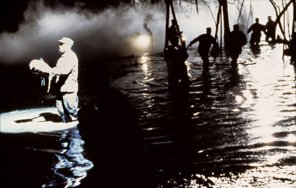 Кадры из Похитители тел (1993)