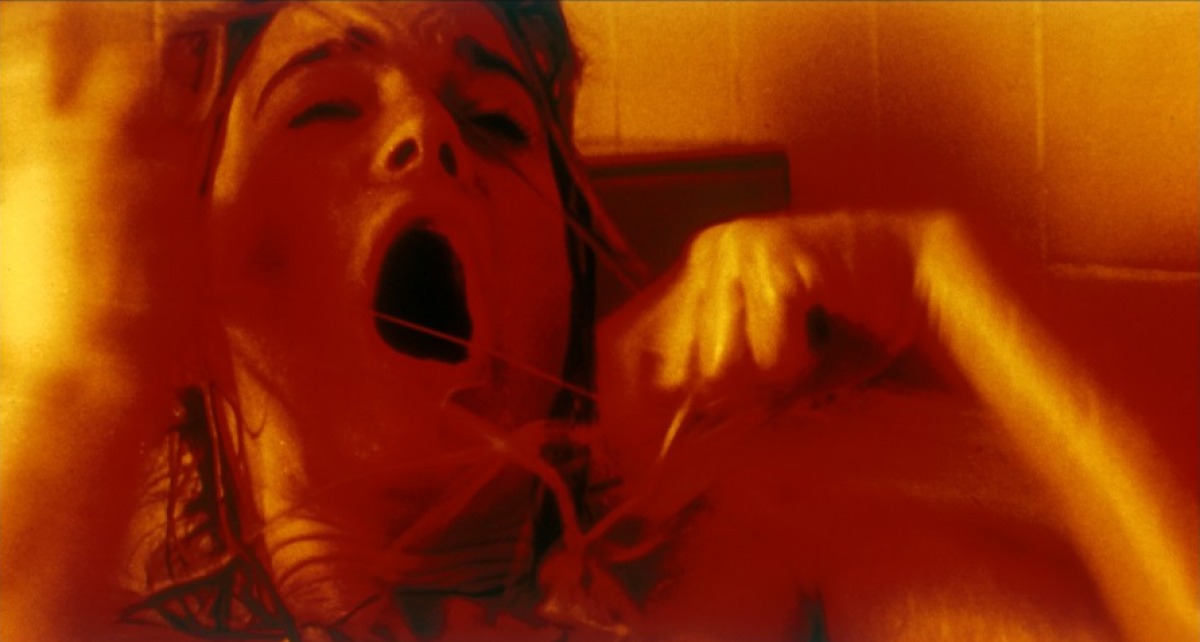 Кадры из Похитители тел (1993)